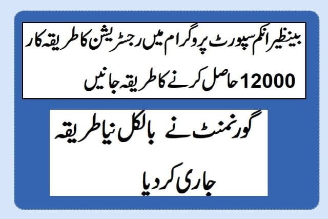 BISP Registration Check By CNIC