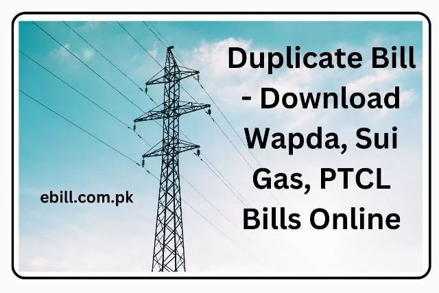 Duplicate Bills 2024 For Wapda, PTCL Suigas, SSGC, KESC Bill