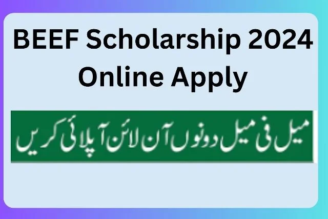 BEEF Scholarship 2024 Online Apply - Last Date - Merit List