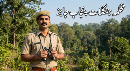 Latest Punjab Forest Department Jobs 2026 Advertisement 22